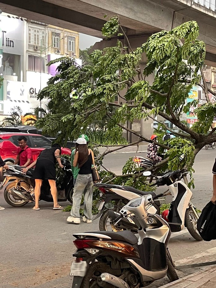 VIDEO: Hà Nội dông lốc mạnh làm bật gốc cây, đổ cột điện, thổi bạt người đi xe máy - 4