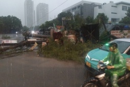 Thủ tướng yêu cầu tập trung ứng phó bão Wipha  " rất mạnh, di chuyển nhanh và nguy hiểm " 