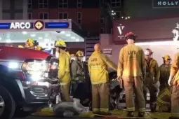 Mỹ: Xe hơi lao vào đám đông, hàng chục người bị thương