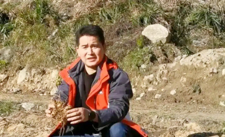 Tìm "mỏ vàng” trên cây thuốc có từ 2.000 năm trước, kiếm tiền tỷ/năm - 2