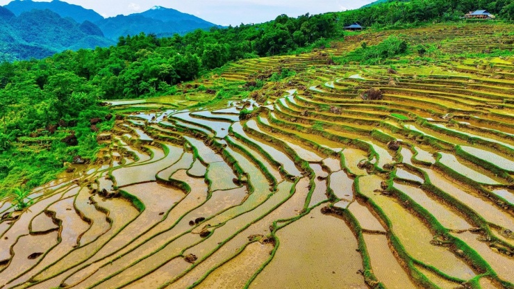 Ruộng bậc thang Pù Luông mùa nước đổ đẹp nao lòng - 1