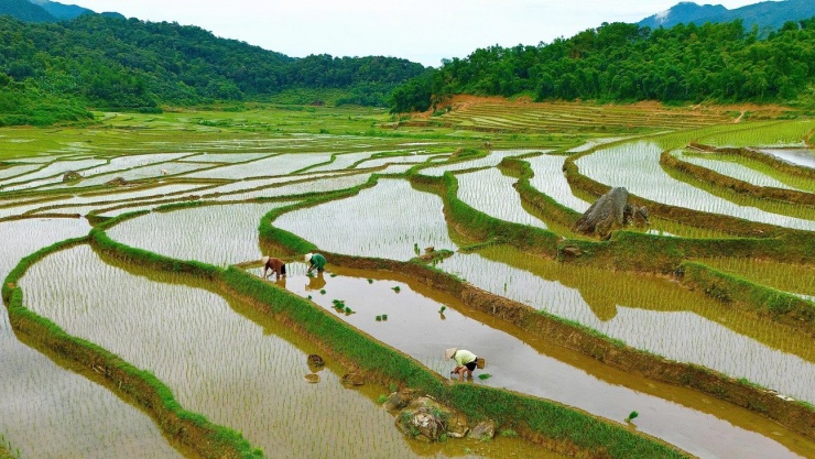 Ruộng bậc thang Pù Luông mùa nước đổ đẹp nao lòng - 8