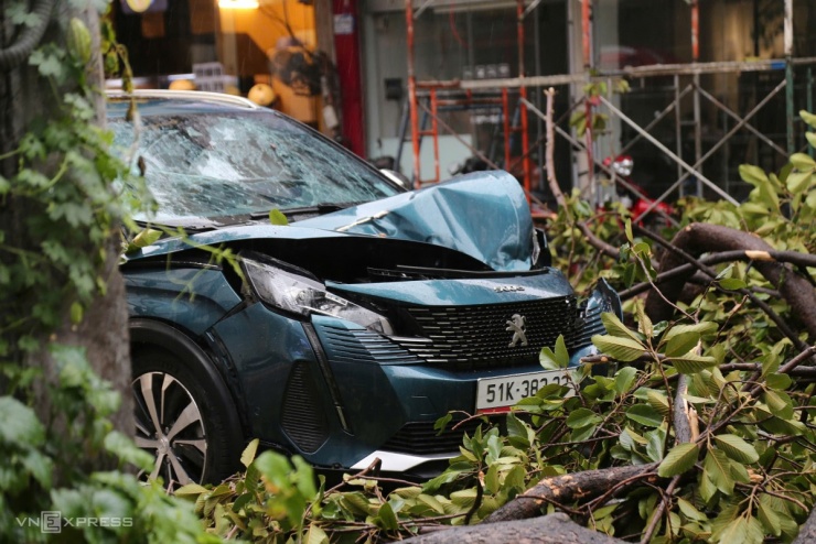 Ôtô 7 chỗ đang chạy bị nhánh cây gãy từ cây cao hơn 30 m rơi trúng, phần đầu bị móp, hư hỏng nặng. Bốn người trong xe gồm tài xế, vợ và hai con trai may mắn thoát nạn. Ảnh: Đình Văn