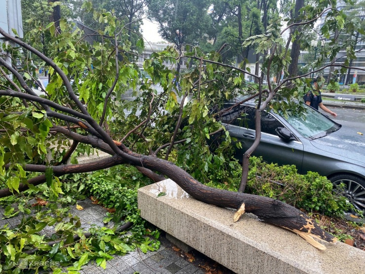 Cách văn phòng Bộ Giáo dục khoảng 50 m, gần Hồ Con Rùa, phường Xuân Hòa (quận 3 cũ), nhánh cây dài khoảng 5 m bất ngờ rơi xuống, đè ôtô đậu ven đường. Ông Trần Văn Thành, bảo vệ quán cà phê gần đó, cho biết khoảng 12h mưa gió rất mạnh. "Tôi vừa dựng lại tấm biển quảng cáo bị gió quật ngã thì nhánh cây rơi xuống, may mà kịp tránh", ông kể. Ảnh: Thanh Tùng