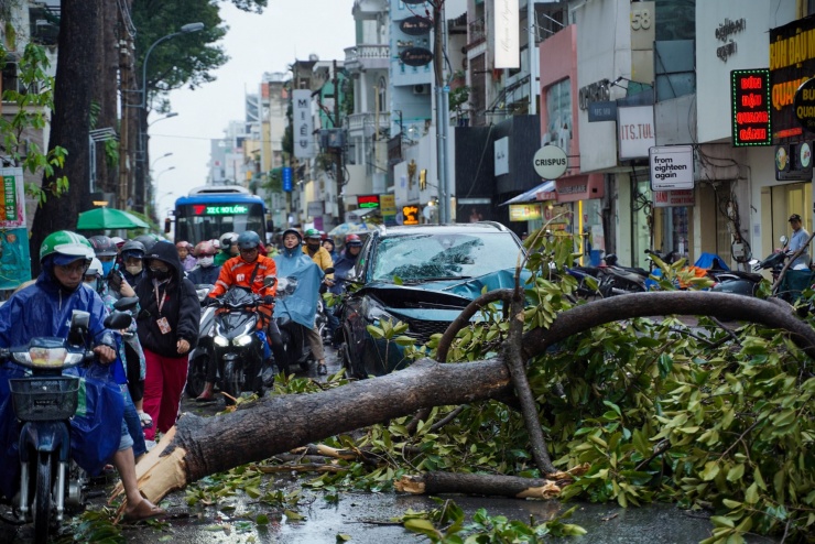Hàng loạt cây gãy đổ trong mưa giông ở TP HCM - 1