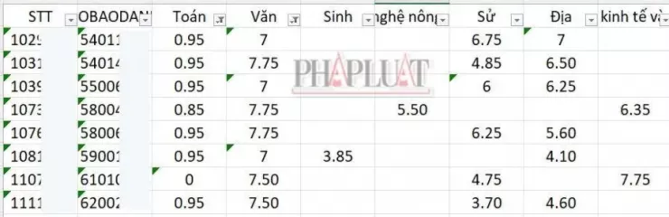 Nhiều thí sinh có điểm một số môn thi cao nhưng rớt tốt nghiệp THPT vì dính điểm liệt môn Toán. Ảnh: CMH