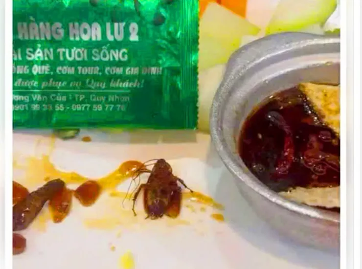 Thực khách phát hiện con gián trong thức ăn tại nhà hàng Hoa Lư 2, hôm 16-7. Ảnh: LG