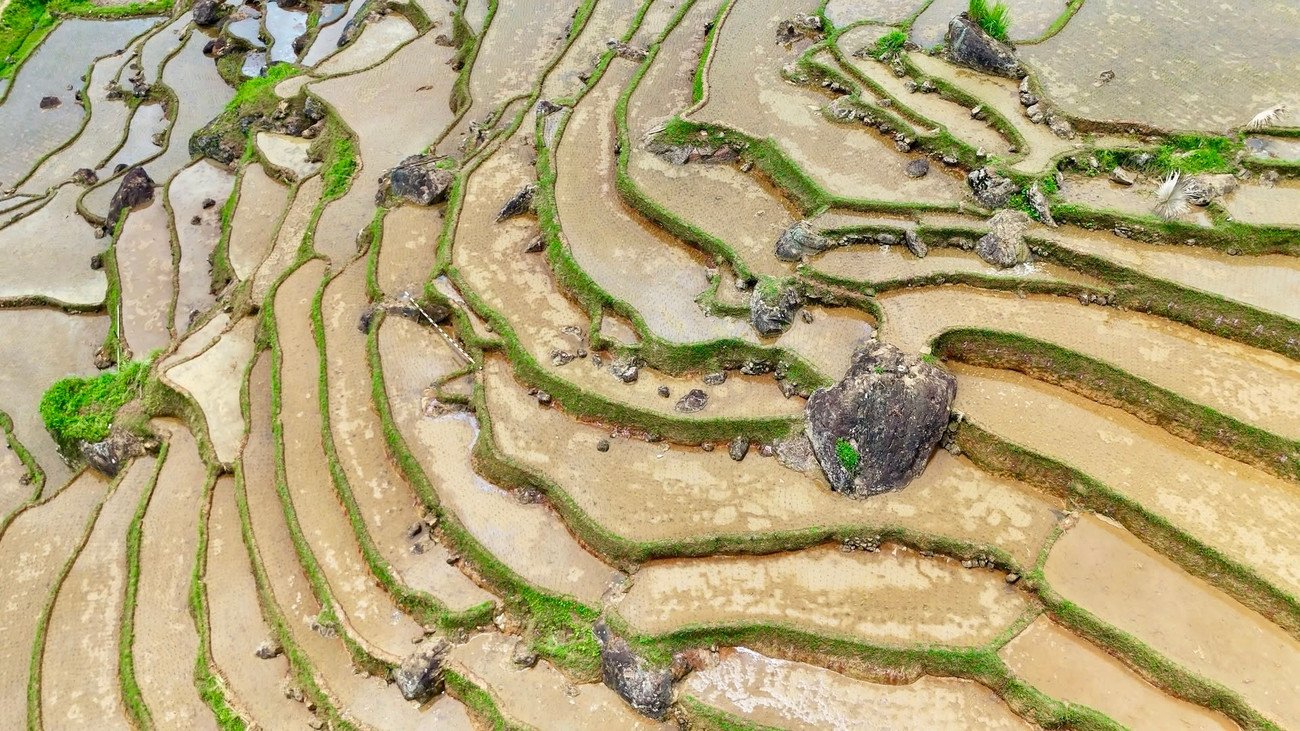 Ruộng bậc thang Pù Luông mùa nước đổ đẹp nao lòng - 18