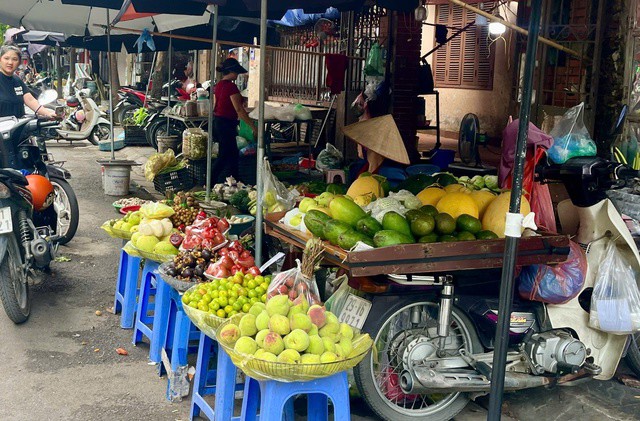 Đào mỏ quạ được bày bán nhiều tại các chợ dân sinh ở Hà Nội. Ảnh: Đan Tâm.