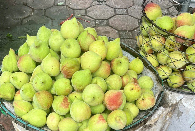 Đào mỏ quạ đang được bán với mức giá từ 40.000 - 60.000 đồng/kg. Ảnh: Đan Tâm.