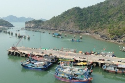 Hải Phòng chính thức cấm biển, kêu gọi tàu thuyền vào tránh trú bão số 3