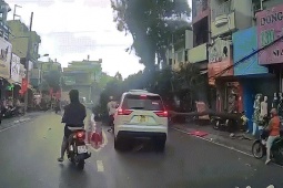 Khoảnh khắc cây đổ đè ôtô, xe máy ở TP HCM