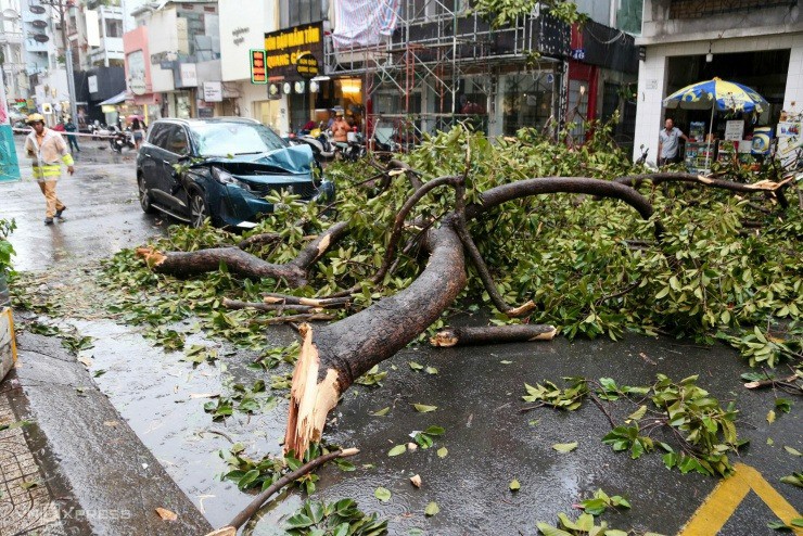 Nhánh cây đường kính khoảng 30 cm bị gãy, chắn ngang đường Trần Quang Diệu, phường Nhiêu Lộc (quận 3 cũ) khiến giao thông gián đoạn, nhiều xe máy phải đi sát lề. Cảnh sát đã phong tỏa khu vực này để đảm bảo an toàn. Ảnh: Bảo Thiên