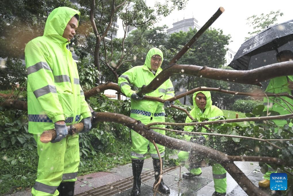 Cây đổ ở Thâm Quyến, Quảng Đông (ảnh: Xinhua)