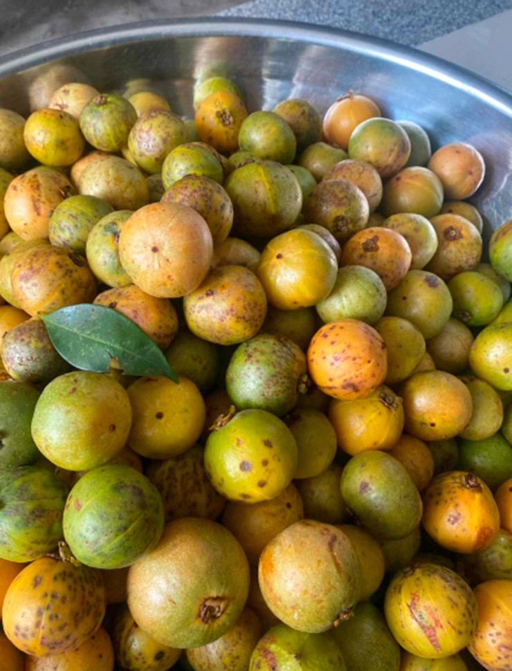 Vị của bứa rừng độc đáo: vị chua thanh xen lẫn ngọt dịu, khiến ai từng thử một lần đều khó quên.
