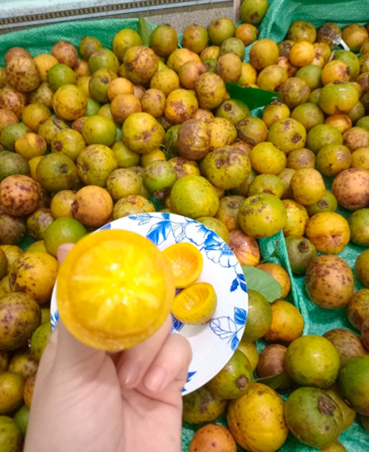 Vỏ quả dày, bên trong là các múi vàng nhạt xếp tròn đều như bông hoa vừa hé nở.&nbsp;
