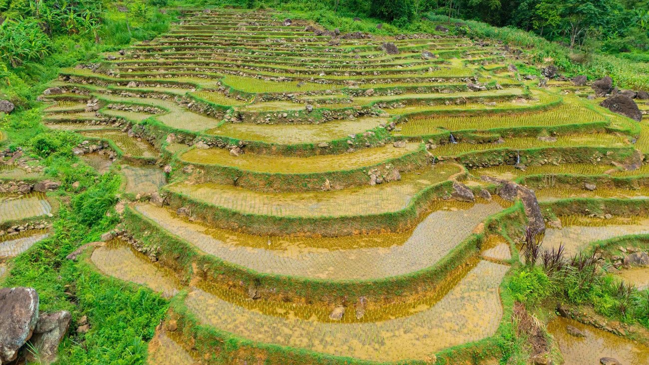 Ruộng bậc thang Pù Luông mùa nước đổ đẹp nao lòng - 6