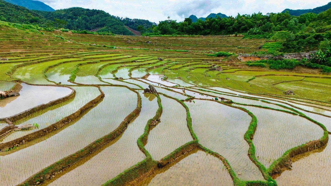 Ruộng bậc thang Pù Luông mùa nước đổ đẹp nao lòng - 7