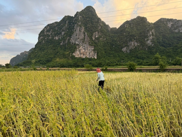Lệ Sơn - làng quê hội tụ tiềm năng du lịch giữa lòng Trường Sơn - 7