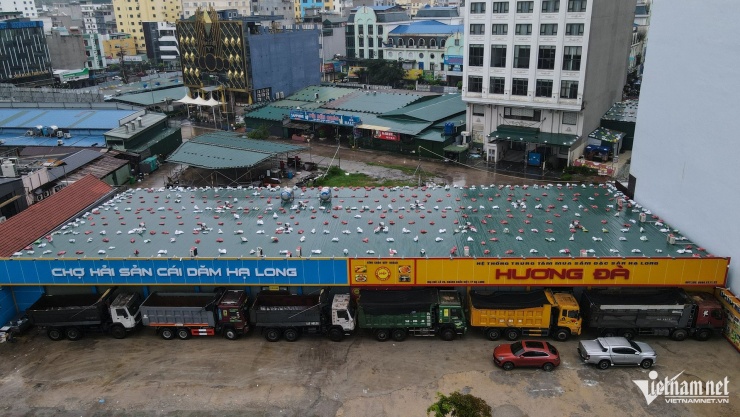 Ông chủ nhà hàng chi 54 triệu đồng/ngày thuê container chắn cửa, chống bão số 3 Wipha - 1