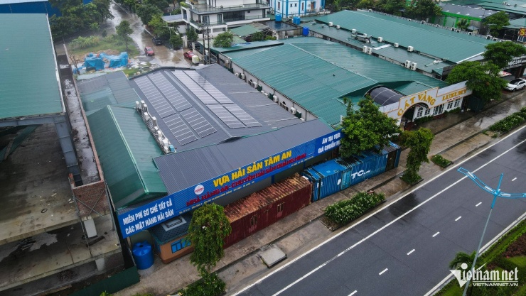 Ông chủ nhà hàng chi 54 triệu đồng/ngày thuê container chắn cửa, chống bão số 3 Wipha - 14