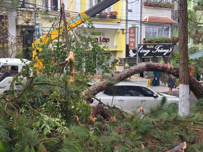 Một ô tô biển kiểm soát TP HCM khác cũng bị cành cây lớn rơi trúng.