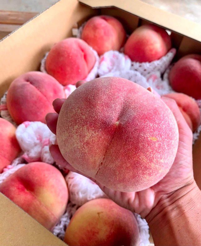 Một loại đào của Trung Quốc đổ bộ thị trường Việt, giá vài chục nghìn đồng/quả vẫn được chị em thi nhau “chốt đơn” - 6