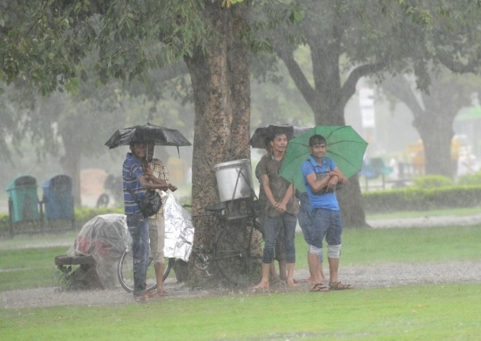 Tuyệt đối không đứng trú mưa dưới gốc cây to, biển quảng cáo hay đường dây điện trong mùa bão. Ảnh: Kerala