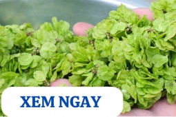 Tin tức sức khỏe - 5 loại rau củ mùa mưa bão được người xưa ví là “thần dược” cho xương khớp