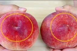 Mua đào nên chọn quả đầu tròn hay nhọn?