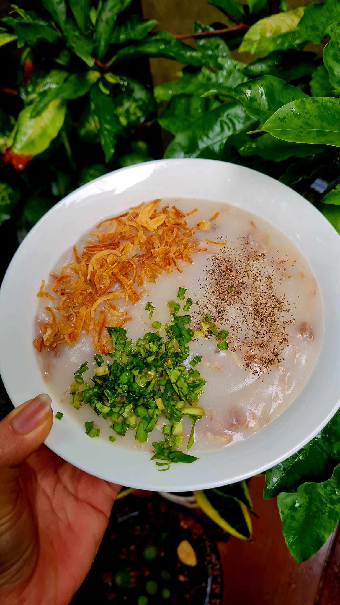 Mưa bão nấu một nồi này thay cơm, ăn bao nhiêu cũng không thấy chán - 1