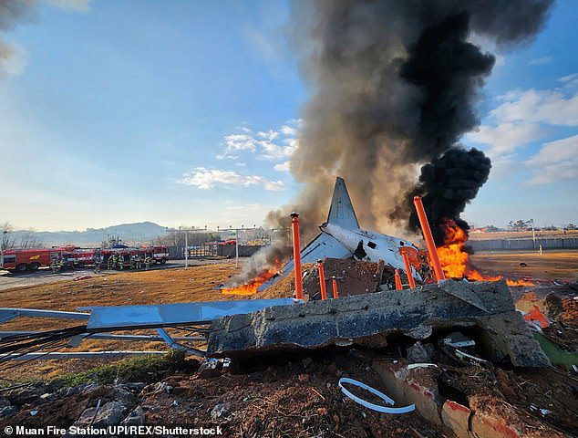 Thảm kịch máy bay Hàn Quốc xảy ra vào ngày 29/12/2024 khiến 179 người chết. Ảnh: Shutterstock.