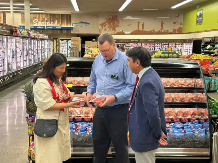 Vải thiều tỉnh Bắc Ninh chính thức lên kệ chuỗi siêu thị lớn nhất nước Mỹ-Costco. Ảnh: Bộ Công Thương