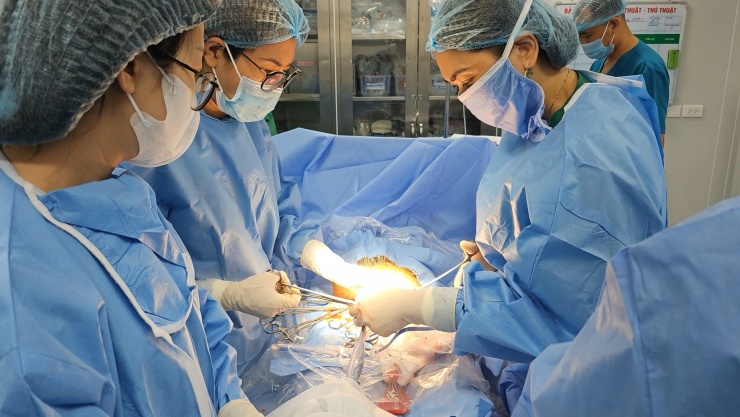 BVPS Hải Phòng tiếp nhận gần 200 ca cấp cứu trước khi bão về. Ảnh: CTV