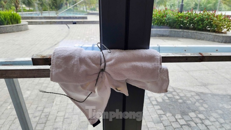 Phớt lờ cảnh báo, nhiều người về biển Đồ Sơn check-in đón bão - 8