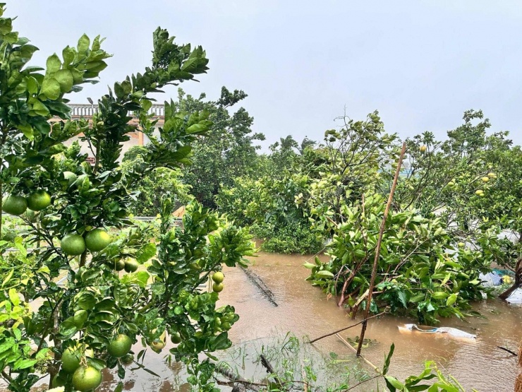 Ninh Bình mưa lớn gây ngập nặng - 1