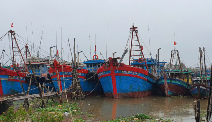 Tàu thuyền đưa đưa vào khu vực an toàn tại sông Ninh Cơ, Ninh Bình. Ảnh: Xuân Hào.