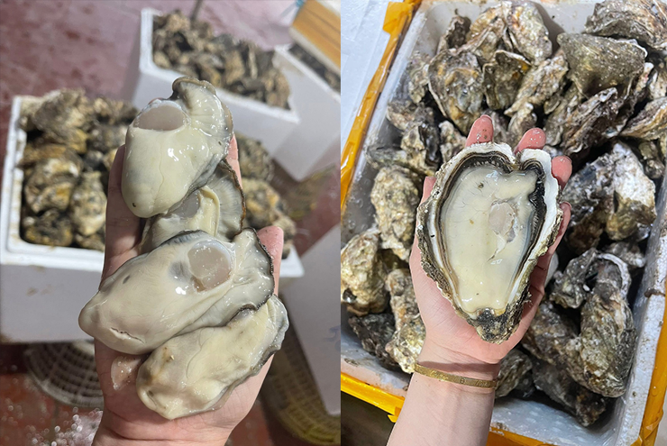 Không chỉ bán loại nguyên vỏ, nhiều thương lái còn tách riêng ruột hàu bán với giá 180-250.000 đồng/kg.
