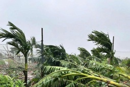 Tin tức trong ngày - Ninh Bình mưa lớn gây ngập nặng