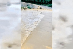 Nước lũ dâng cao, 200 hộ dân ở Nghệ An bị cô lập