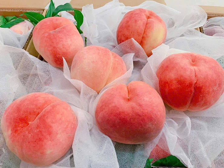 Đơn cử như loại đào này. Đây là đào Bắc Kinh, hay còn được gọi là đào Tôn Ngộ Không, đào tiên, đào đỏ... Loại đào này có kích thước lớn, màu sắc đẹp mắt, ăn giòn và thơm, vị ngọt thuần, một quả có thể nặng đến 400 gram, đang làm mưa làm gió ở mạng xã hội và cả các chợ truyền thống Việt Nam.
