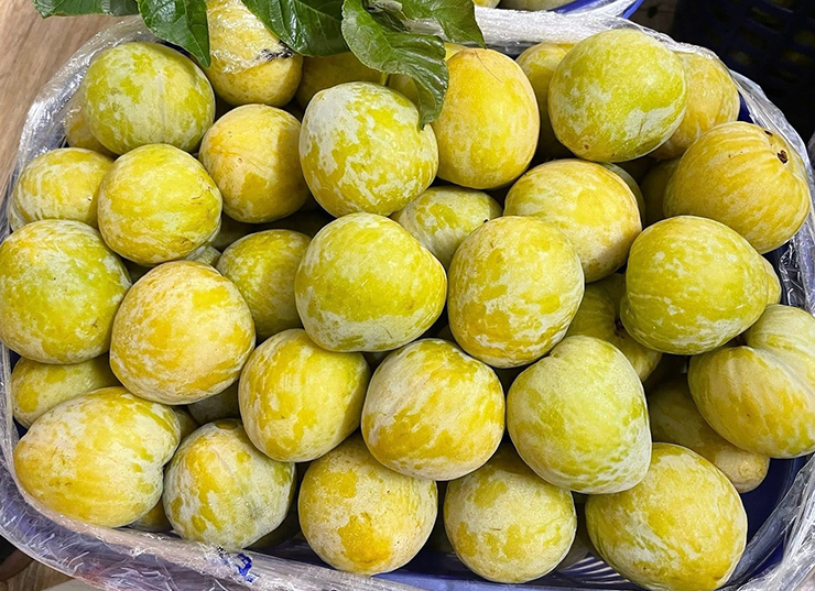 Hay loại mận cau này cũng là một ví dụ.&nbsp;Mặc dù giá bán lên tới 450.000 đồng/kg 10-12 quả, nhiều người vẫn xếp hàng để mua.
