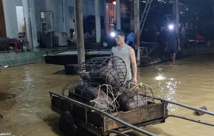 Người dân Nghệ An trắng đêm chạy lũ - 3