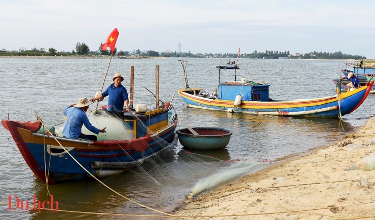 Miền cổ tích giữa mùa hoa muống biển bên Cửa Lở - 12