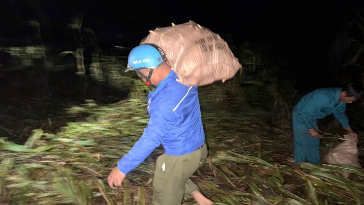 Những bì ngô nặng hàng chục kg được các lực lượng chức năng đóng gói rồi vận chuyển đến điểm tập kết.