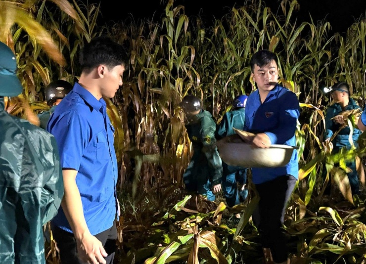 "Đây là hành động kịp thời, thể hiện tinh thần xung kích, trách nhiệm vì cộng đồng của tuổi trẻ Đô Lương trong công tác hỗ trợ nhân dân ứng phó với thiên tai, bảo vệ tài sản và ổn định cuộc sống", anh Nguyễn Trung Tân - Phó Chủ tịch Ủy ban MTTQ - Bí thư Đoàn Thanh niên xã Đô Lương chia sẻ.