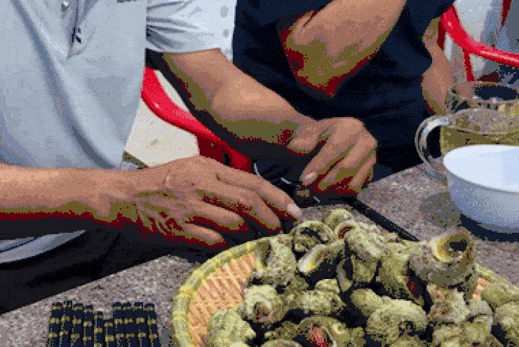 Hải sản Lý Sơn vỏ xù xì, có  ' mắt ngọc '  lấp lánh, khách gõ nhừ tay mới được ăn