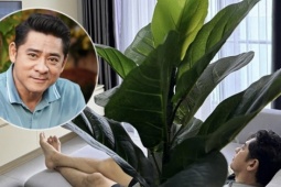 Huỳnh Anh Tuấn về TP HCM dưỡng bệnh sau đột quỵ