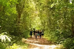 Trekking xuyên rừng Cát Bà, khám phá làng cổ Việt Hải giữa thiên nhiên