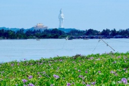 Miền cổ tích giữa mùa hoa muống biển bên Cửa Lở